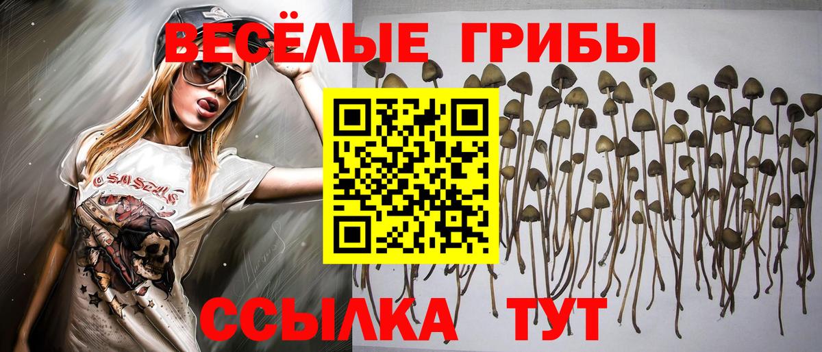 Галлюциногенные грибы Magic Shrooms Борисоглебск