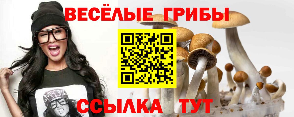 Галлюциногенные грибы GOLDEN TEACHER  магазин    Галлюциногенные грибы Magic Shrooms  Борисоглебск  Вход с VPN 
